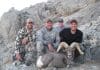 Bighorn Sheep Hunting Tips & Tactics robert sheep 1
